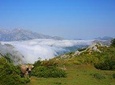 Full Day Private 4WD Tour from Bilbao to Picos de Europa. Fine meals.