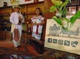Valladolid Mayan Bees Tour with Lunch or breakfast and Honey Tasting