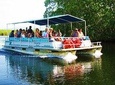 Black River Safari Tour from Kingston