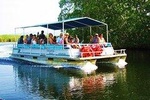 Black River Safari Tour from Kingston