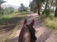 Private Horse Riding Tour in Luxor West Bank