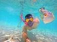 Bluefinn Charters Swimming with the turtles 