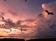 Sunset at Komodo Island