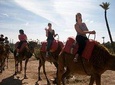 Guided Marrakech Camel Ride 02 hours