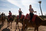 Guided Marrakech Camel Ride 02 hours