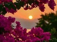 Paradise Taxi & Tours USVI -St. Thomas, Virgin Islands-Private Group-Island Tour