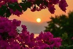 Paradise Taxi & Tours USVI -St. Thomas, Virgin Islands-Private Group-Island Tour