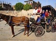 carriage horse ride in luxor 