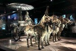 Xi'an Terrocotta army private tour with lunch and free shopping at Muslim street