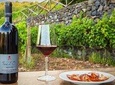 Etna tour panoramico + Degustazione di vini