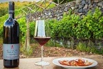 Etna tour panoramico + Degustazione di vini