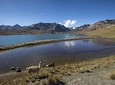 CONDORIRI Mountain Range and Lagoons Full day Trekking. Spanish guide.