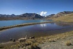 CONDORIRI Mountain Range and Lagoons Full day Trekking. Spanish guide.
