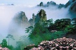 Private day tour to Mountain Huangshan with buffet Lunch and start from Tunxi 