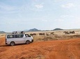 2 Days Taita Hills Game Sanctuary Saltlick Lodge