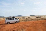 2 Days Taita Hills Game Sanctuary Saltlick Lodge