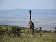 3 Days / 2 Nights Join Group Safari Tanzania