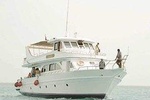  Ras Mohamed Snorkeling By Bus In Sharm El Sheikh 