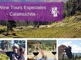 Wine Tour Privado - Calamuchita