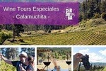 Wine Tour Privado - Calamuchita