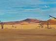 5 Days Swakopmund and Sossusvlei Namibia Experience