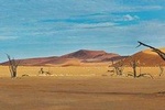 5 Days Swakopmund and Sossusvlei Namibia Experience