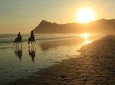 Safari & Buenavista Beach Horse Riding Tour