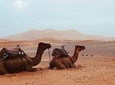Sahara Overnight Experience 3Days / 2Nights Merzouga desert 