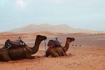 Sahara Overnight Experience 3Days / 2Nights Merzouga desert 
