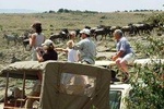 2 Days / 1 Night - Tsavo Explorer Safari