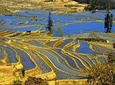 4days private tour Stone forest Yuanyang Terrace Jianshui old town from Kunming