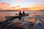 Beautiful Middle Harbour Sunriser / Guided Kayaking Tour