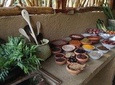 Sri Lankan Yoga Lesson , Accomodation & Village Traditional breakfast.