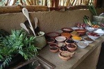 Sri Lankan Yoga Lesson , Accomodation & Village Traditional breakfast.