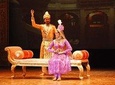 Private luxury 2 days in agra including show 'mohobbatetaj' ,meal,entrances 