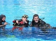 Discover Scuba Diving