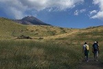 Half day Trekking Tour on Etna