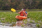 Private Kayaking tour in the Chagres River