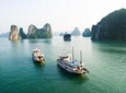 Sen Cruise - Luxury Halong Bay Day Tour - Limousine transfers