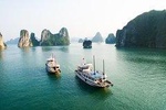 Sen Cruise - Luxury Halong Bay Day Tour - Limousine transfers