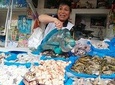 Local life experience with an expert guide! (Downtown Lima) 