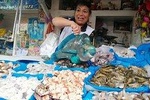 Local life experience with an expert guide! (Downtown Lima) 