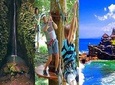 Best Bali Things To Do With Waterfall Tree Top and Tanah Lot Temple