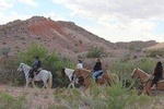  Horseback Riding Tour 