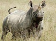  7 Days / 6 Nights Join group Safari