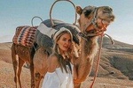 Desert Agafay and Atlas Mountains Day Trip From Marrakech with Camel ride