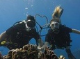 Private Dive for 2 in Lahaina