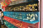 Mumbai Market Tour