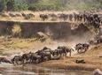 2-Day Safari-Trip to Lake Manyara & Ngorongoro (Mid-range)