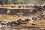 2-Day Safari-Trip to Lake Manyara & Ngorongoro (Mid-range)